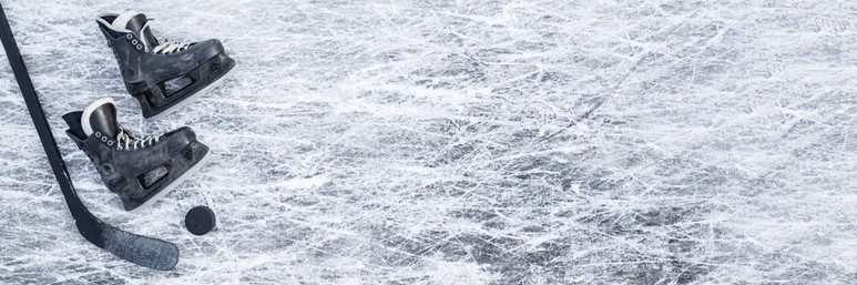 Front Page -Warrior Sales Store banner81