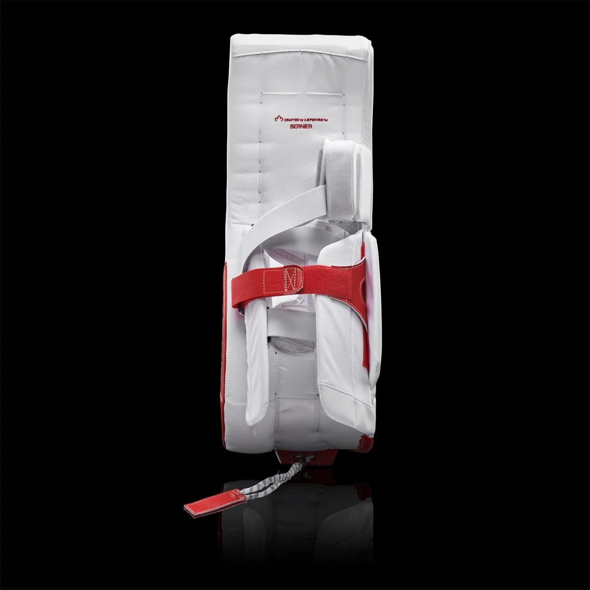 TRUE L20.1 Custom Goalie Leg Pads 11 TRUE L20.1 Custom Goalie Leg Pads - Image 9